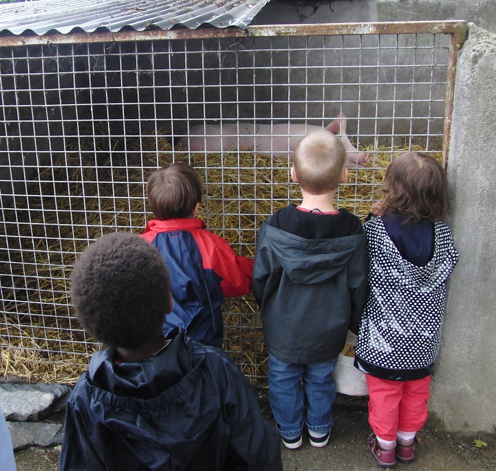mot-cl-animal-bienvenue-dans-mes-jardins
