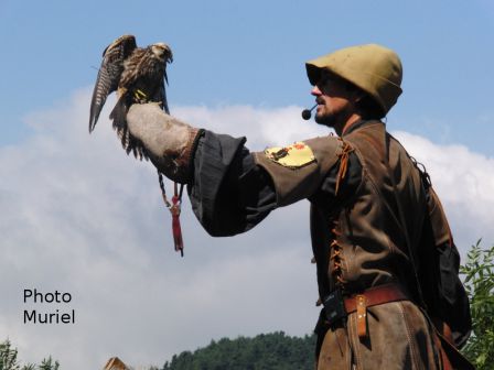 faucon1, juil. 2014 faucon1