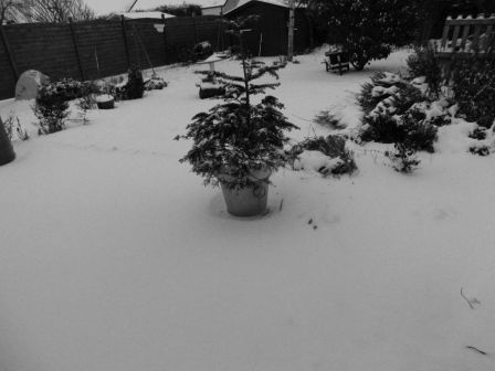 neige 3 plessis 5 février 2012