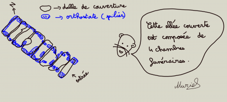 rocheauxfeesF.png