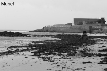 larmor-plage10.JPG