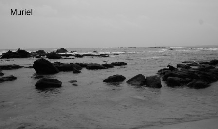 larmor-plage12.JPG