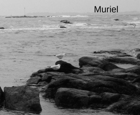 larmor-plage13.JPG