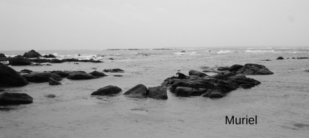 larmor-plage15.JPG