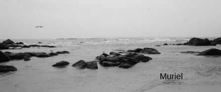 larmor-plage16.JPG