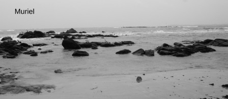 larmor-plage18.JPG