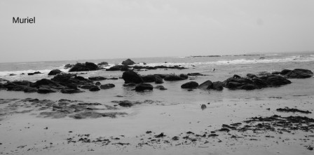 larmor-plage19.JPG