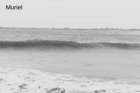 larmor-plage1.JPG