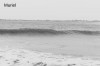 larmor-plage1.JPG