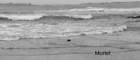 larmor-plage20.JPG