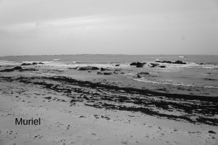 larmor-plage24.JPG