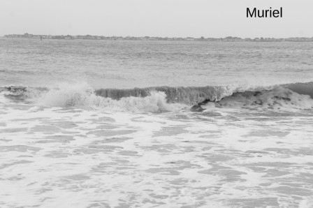 larmor-plage3.JPG