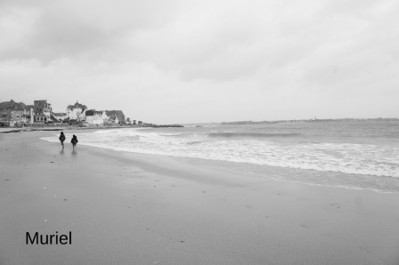 larmor-plage6.JPG