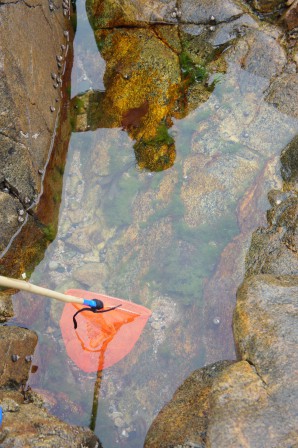 fouille-rochers3.JPG