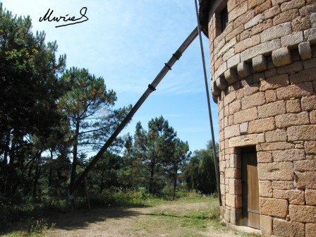 moulin-queueblog.JPG