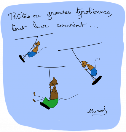 tyrollienne-reduite.png