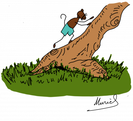 arbre3blog.png