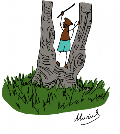 arbre4blog.png
