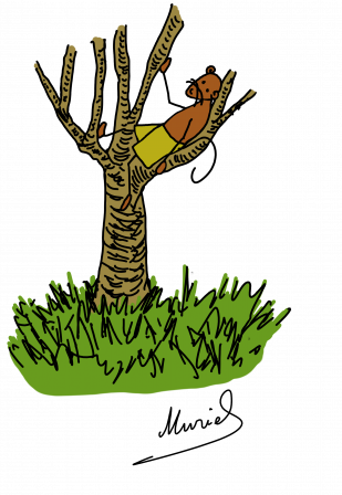 arbre5-blog.png