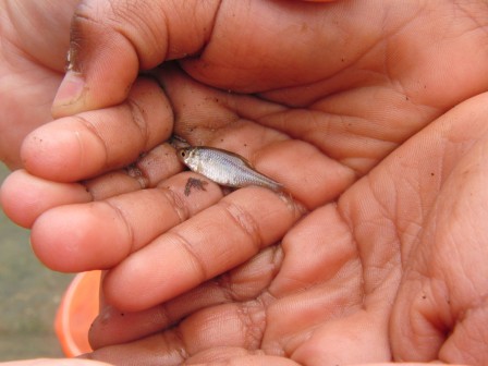 peche-riviere7.JPG